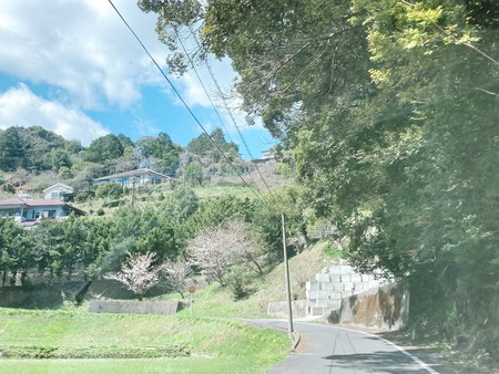 2022.04.06 Ĺ�������Įentspannt hutte �ҥ�å�IMG_2830