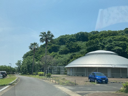 2022.06.05 ëÝÁá»ÔÈÓÀ¹Ä®¡¡·ë¤ÎÉÍ¥Þ¥ê¥ó¥Ñ¡¼¥¯IMG_8141