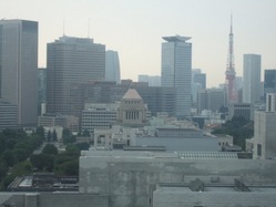 to-5DSCF4950