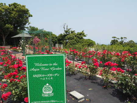 2024.05.25 平戸 崎方公園ANJINローズガーデンP5256513