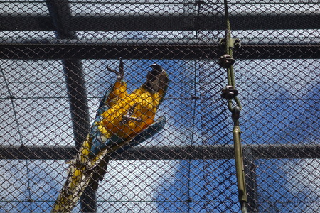 9-Ĺ���ưʪ�Ҥ���DSC09489