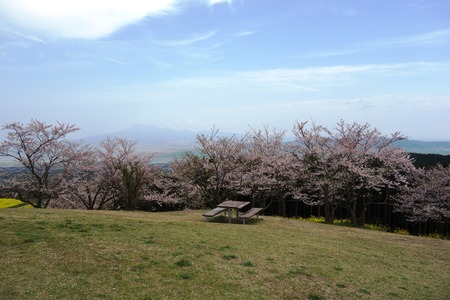 9-白木峰高原DSC06129