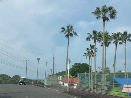 2024.06.14 ��êĮ��food nora-IMG_3797