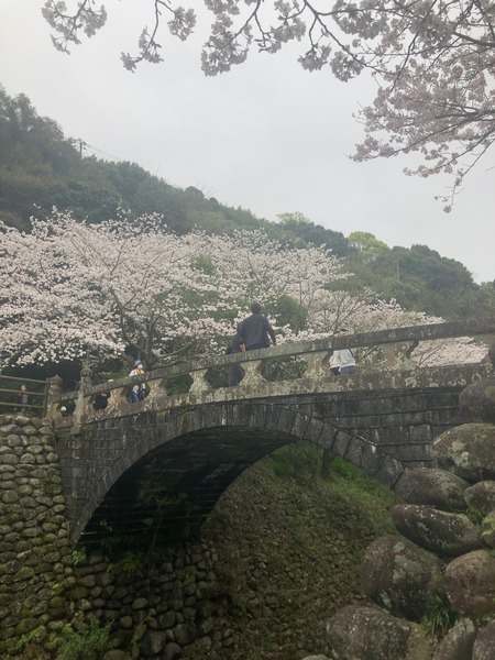2024.03.31 西山下流ダム公園IMG_7751