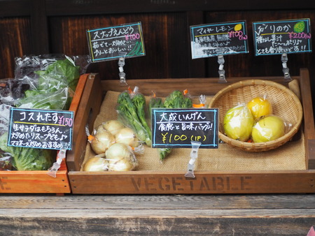 2023.01.14 島原市アーケードP1011352