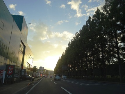 3-¥ë¥·¥¨¥ëDSC00583