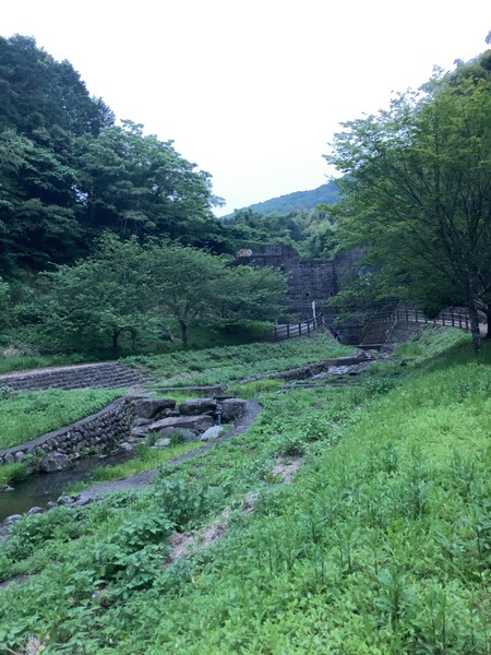2024.05.22 諫早市多良見町 中里ホタルの里遊歩道IMG_7226