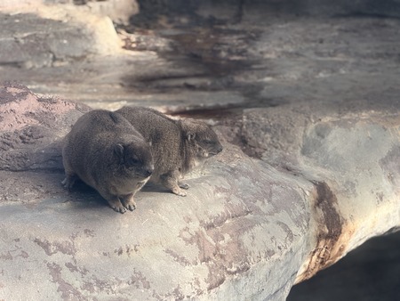 Ĺ��Х����ѡ�������ʵ���IMG_0104