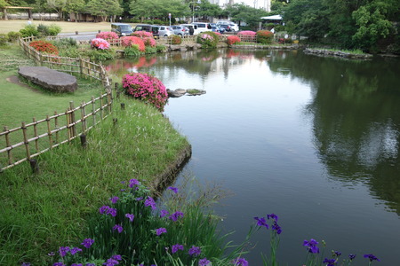 4-諫早公園DSC07357