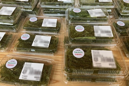 �ե�å���251_1757495651