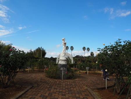 2021.11.14 �����ݻԡ��彽����ư��ʪ�ࡡ�������PB136160