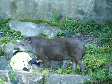 2021.07.20長崎バイイパークP6205566