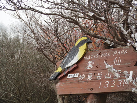 2022.12.03 ±ÀÀç¿ÎÅÄÆ½¡¢Ì¯¸«³Ù¡¡Ì¸É¹P1011598