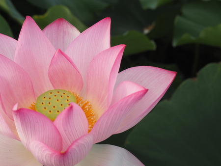 2025.07.26������ϥ���P7270088