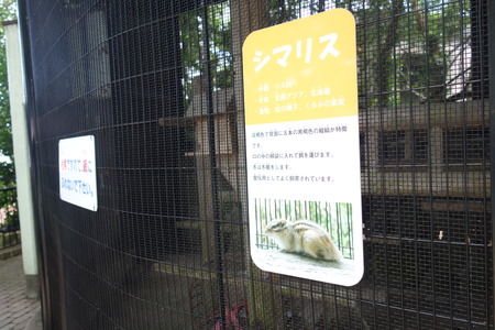 22-Ĺ���ưʪ�Ҥ���DSC09534