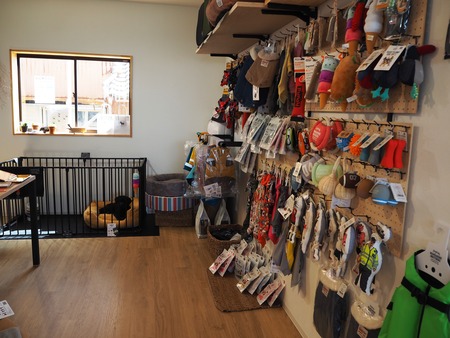 2021.09.25¡¡±ÀÀç»Ô¹ñ¸«Ä®¡¡rain P9160980