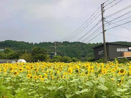 2023.09.30������ԡ��������⸶IMG_0009