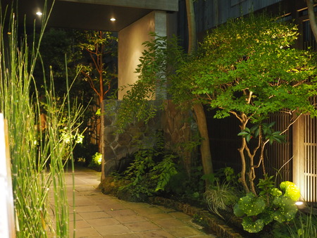 2024.08.25���縶��ޤĤ�P8250124