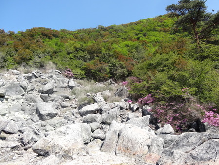29-DSC01767