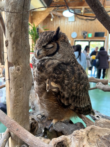 .Ĺ��Х����ѡ������ѥ�IMG_0783