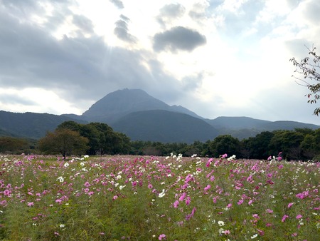 �縶��ĥ���ָ��ॳ���⥹IMG_1880