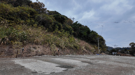 2024.12.17������ԡ����饳�������ץӥ�å����Ÿ��դ�������IMG_2707