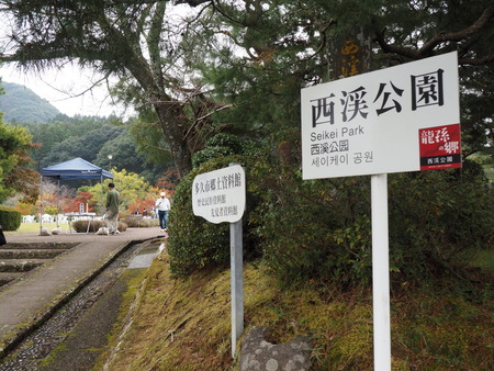 2024.11.22 多久市 西渓公園PB170002