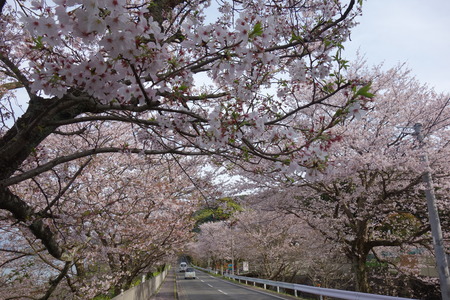 10-多良見町古川DSC05821