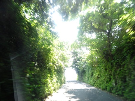 6-DSC01554