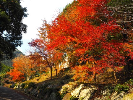 ����Թ���Į�����ή������־��ն�PB261672