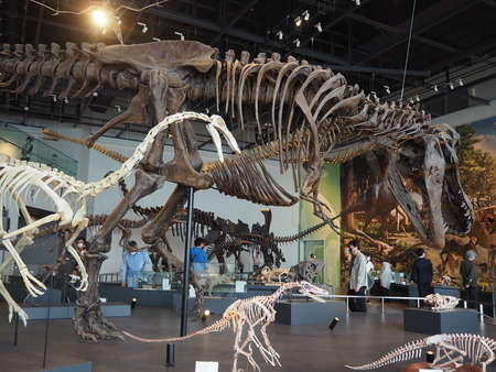 2021.10.31 Ĺºê»Ô¶²ÎµÇîʪ´ÛPA295675