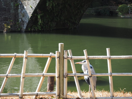 2−諫早公園P1272171