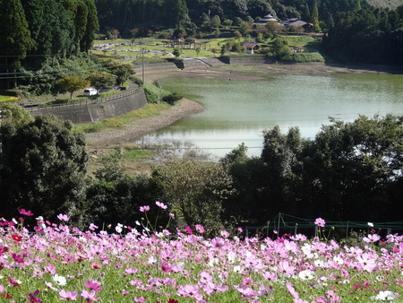 o-7DSC01822