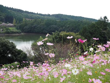 ��������Υ����⥹����μ�P1011893