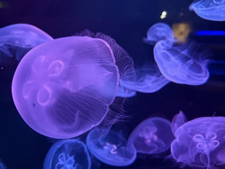 1-2���������IMG_2157