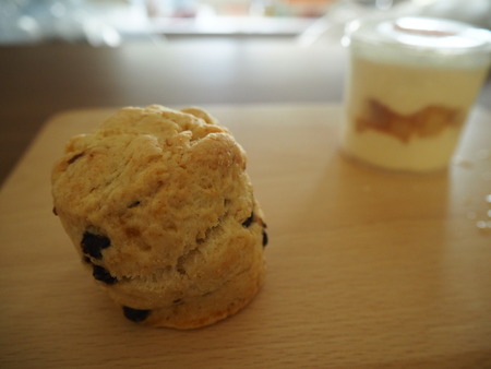 8-���縶������Į��WISSHP7244515