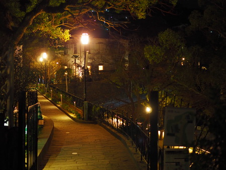 ����Ƚ����ϩP1011542