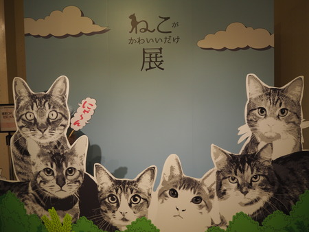 3-ねこがかわいいだけ展P8136541