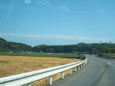 2021.05.07 諫早市森山町 栗の実P5071380