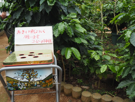 2024.07.02 大村市 長崎スコーコーヒーパークP1010777