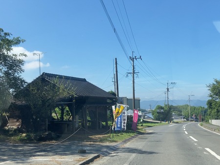 2025.08.16¡¡Âç¼»Ô¡¡ÃæÀî¹ÚÁÇÍü±àIMG_1938