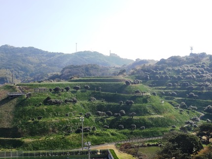 30-�����DSC00604