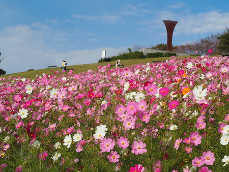 2023.10.13�����ᡡ�������⸶PA131404