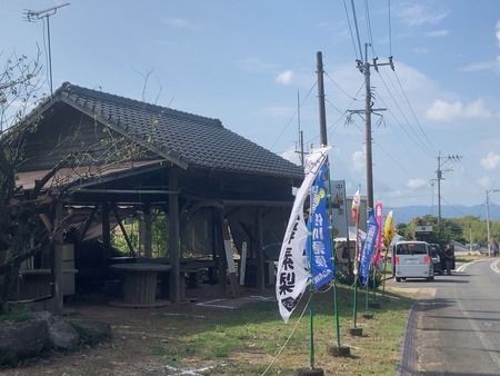 2024.0827 大村市福重 中川酵素梨園IMG_9738