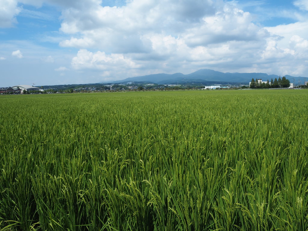 眼鏡橋 (諫早市)