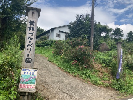 2023.08.29 ����Ծ�Ĺ��Į�����ӥ֥롼�٥꡼��IMG_7121