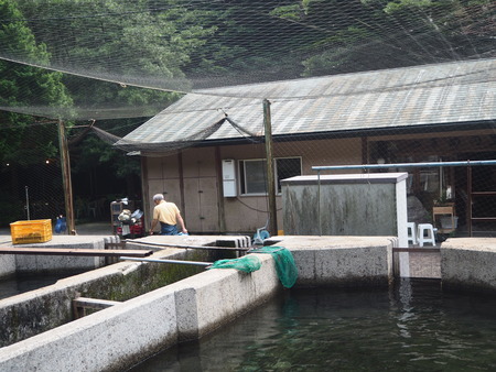 23-19-������项��Į����ޤ��ΤP8220279