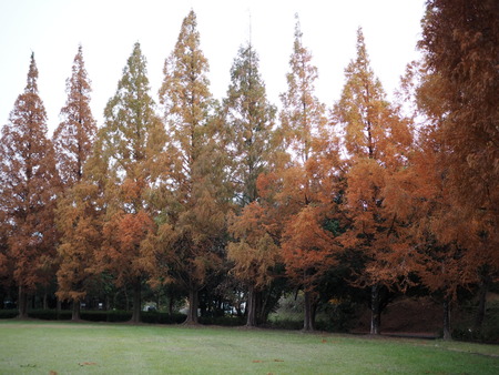 �ڻ���������PC021437