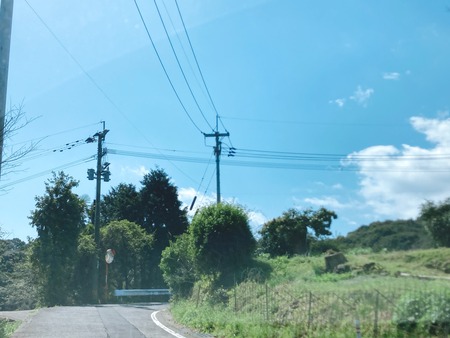 2022.04.06 Ĺ�������Įentspannt hutte �ҥ�å�IMG_2833