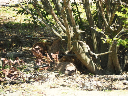 2021.06.21Ĺ��Х����ѡ���P6205487